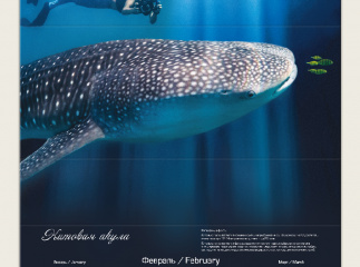 Календарь для компании Furuno 2025