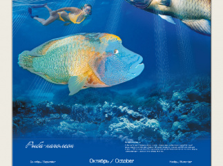 Календарь для компании Furuno 2025