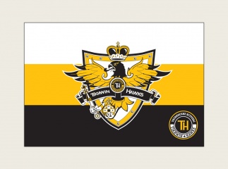 Логотип "Тихвинские Ястребы"