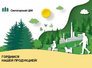 Квартальный календарь для компании «Светогорский ЦБК» 2025