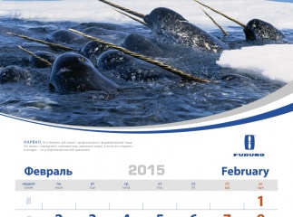 Календарь для компании Furuno 2015