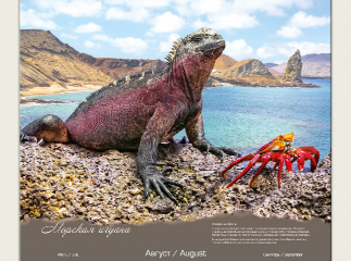 Календарь для компании Furuno 2025