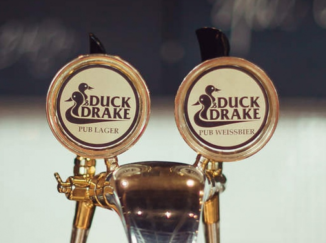 Логотип Duck&Drake