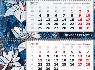 Календарь Нэнси 2018
