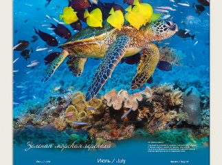 Календарь для компании Furuno 2025