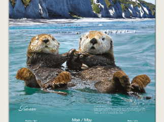 Календарь для компании Furuno 2025