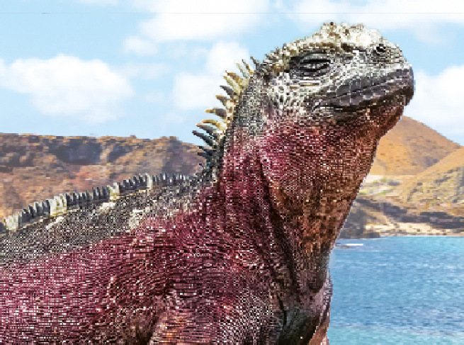 Календарь для компании Furuno 2025