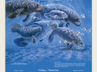 Календарь для компании Furuno 2025