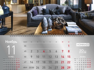 Календарь на 20-летие компании HONKA